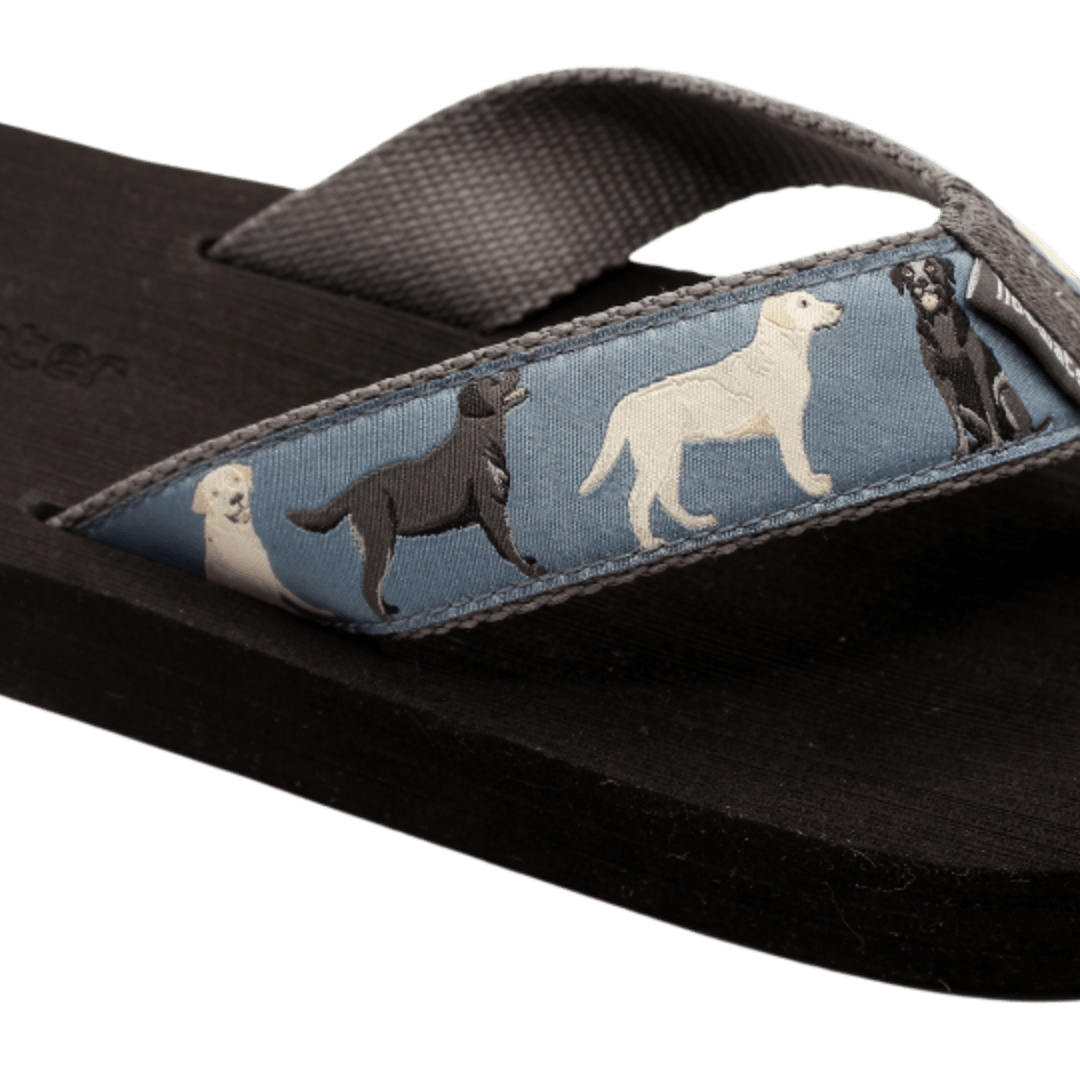 Labrador Retrievers
