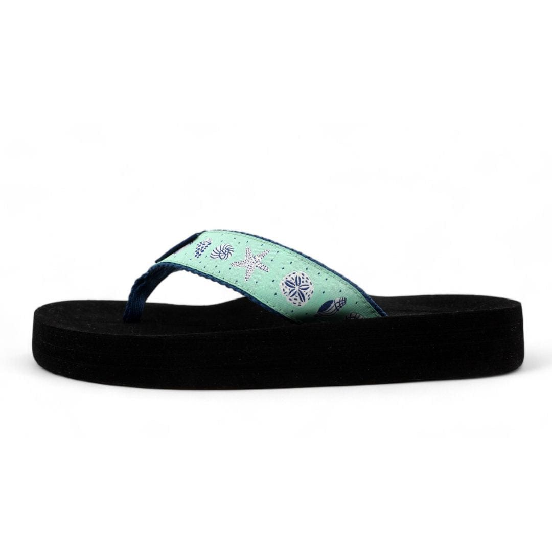 Dots and Shells Mint