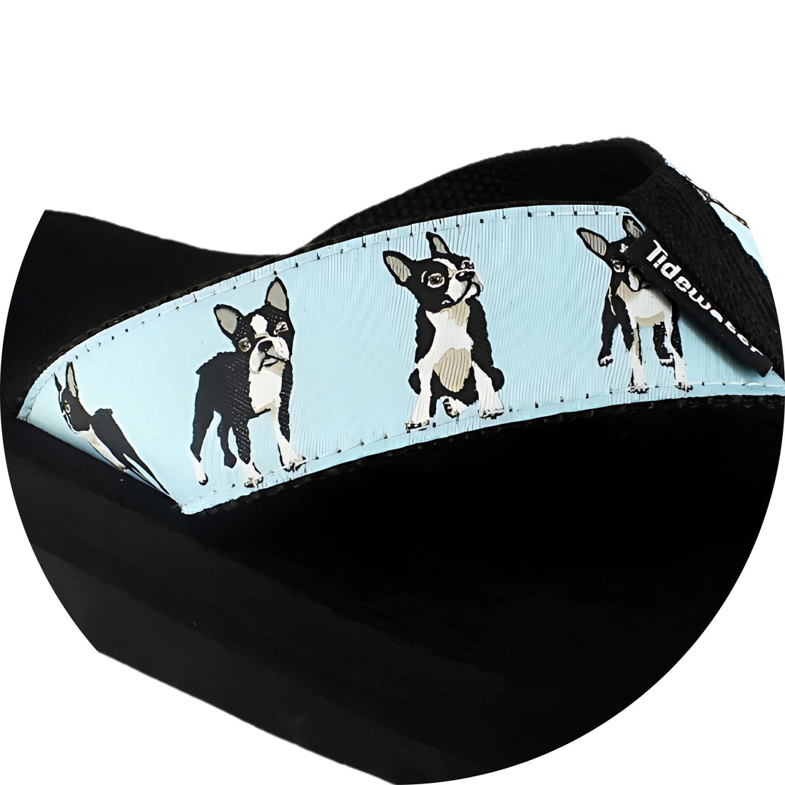 Boston Terriers