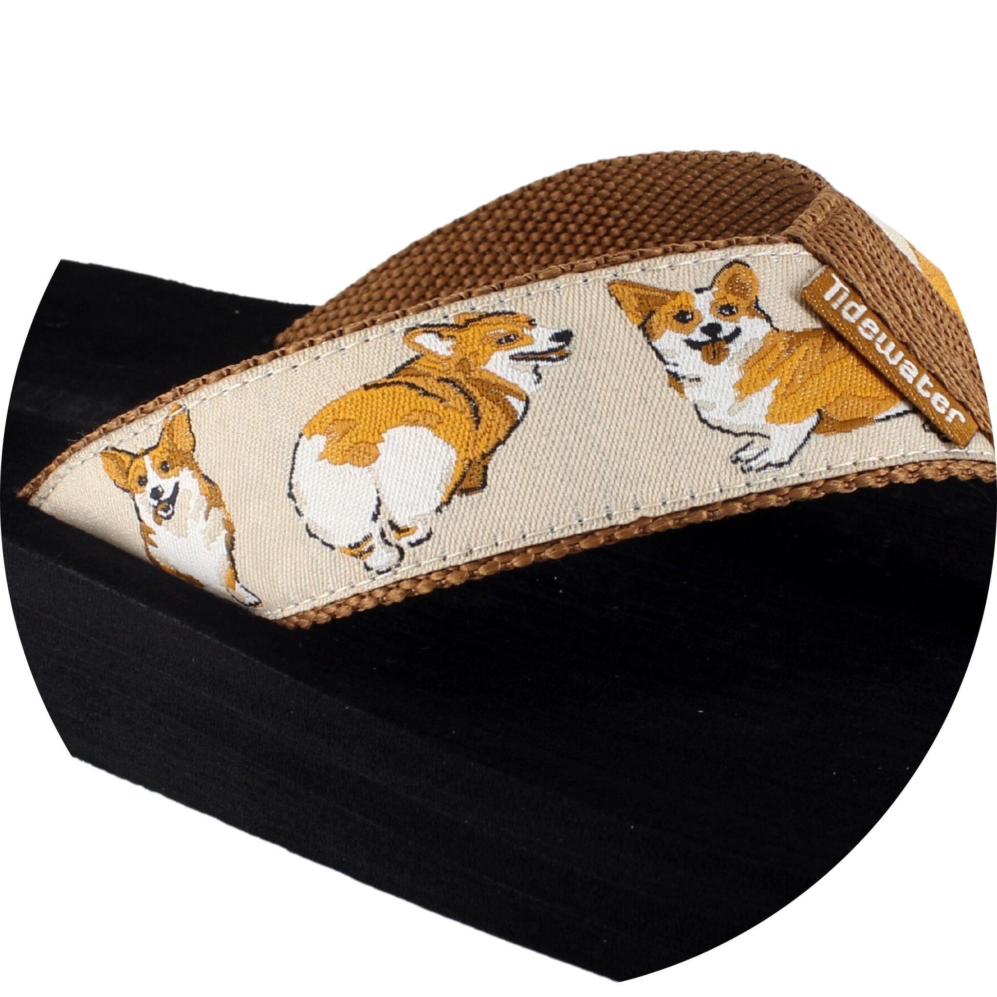 Corgis 6