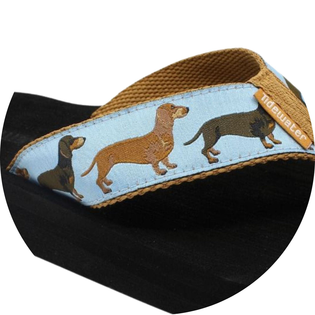 Dachshunds
