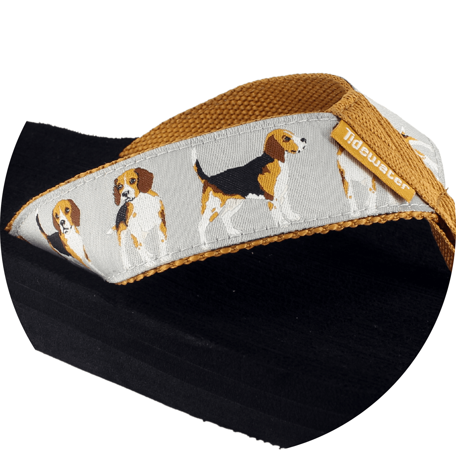 Beagles