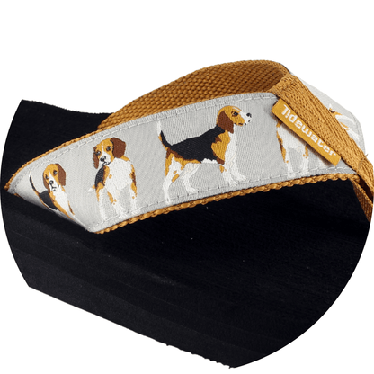 Beagles