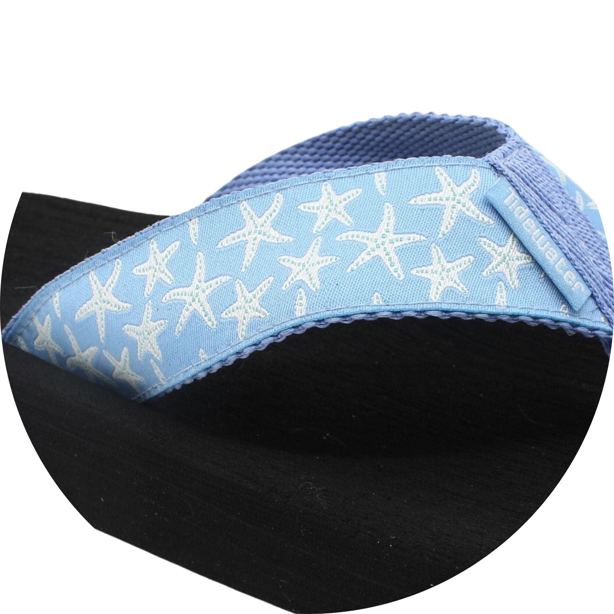 Periwinkle Starfish